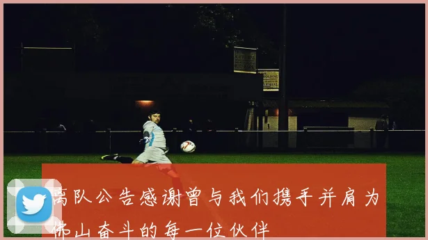 离队公告感谢曾与我们携手并肩为佛山奋斗的每一位伙伴