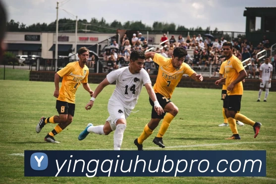 天天盈球发展历程